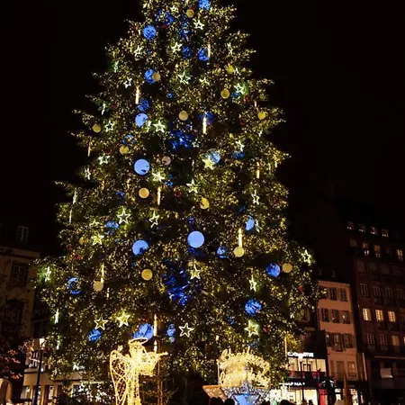 F2 Cosy Proche Marche De Noel Διαμέρισμα Schiltigheim